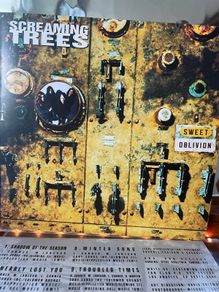 Screaming Trees - Sweet Oblivion