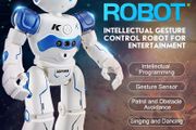 Gesture Control Intelligent Cady Robot