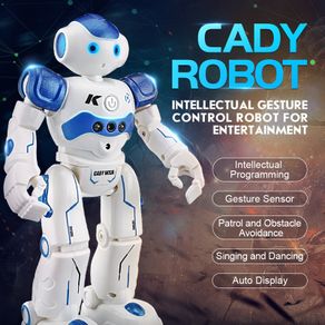 Gesture Control Intelligent Cady Robot