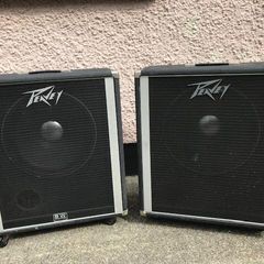 Peavey 115BW Speaker Cabinet
