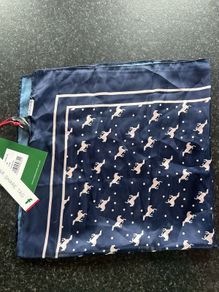 Silk Scarf - Horsewear Ireland