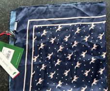 Silk Scarf - Horsewear Ireland