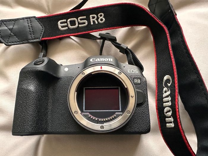 Canon EOS R8, Full Frame Camera, 4K 60p Video