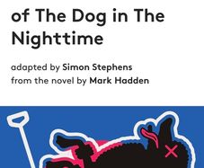 2 Tickets This Thurs - The Curious Incident of The Dog in The Nighttime - Galway Arts Festival