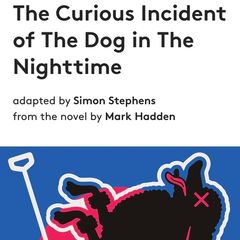 2 Tickets This Thurs - The Curious Incident of The Dog in The Nighttime - Galway Arts Festival