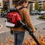 Leaf Blowers Amura Professional Image 2