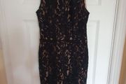 Dresses Oasis