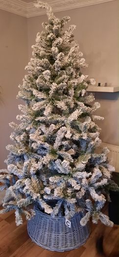Christmas tree and stand