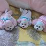 Puppy Suprise 1991 Mother Dog and 4 Puppies Complete HTF Hasbro Same Era as MLP G1 My Little Pony HTF Image 6