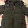 canada goose Image 4