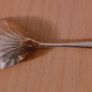 EPNS Shell Shaped Serving Spoon Length 22 cm Image 3
