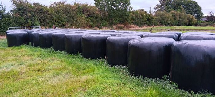 Haylage