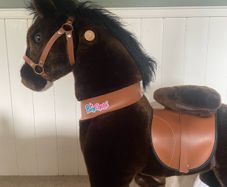 pony cycle