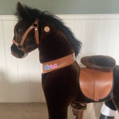 pony cycle