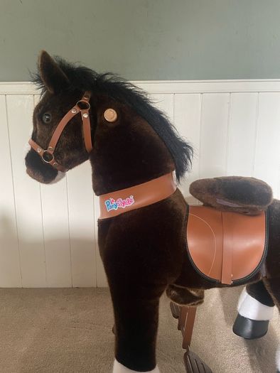 pony cycle