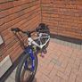 Carrera mountain bike Image 8