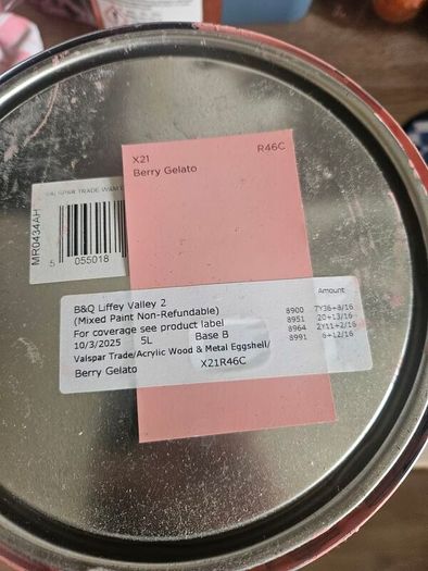 Eggshell Valspar Pink paint