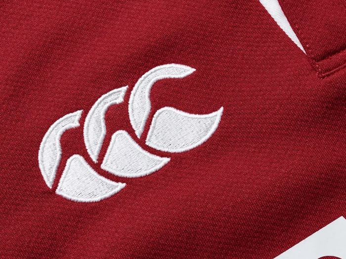British Irish Lions Rugby jersey