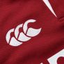 British Irish Lions Rugby jersey Image 4