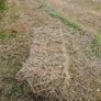 Organic Hay Image 8