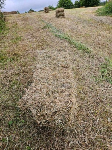Organic Hay