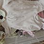 large Girls baby clothes bundle Image 5