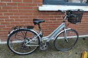 ladies bike falcon horizon