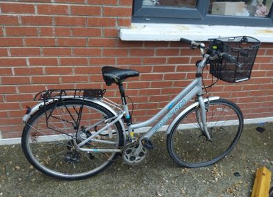 ladies bike falcon horizon