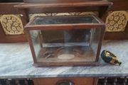 Antique Counter Top Display Case