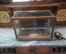 Antique Counter Top Display Case