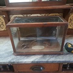 Antique Counter Top Display Case