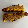 Saguaro Barefoot Shoes Image 3