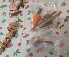 Rabbit treats + toy