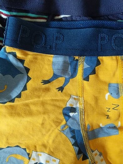 Boy's briefs (Polarn O Pyret, Dunnes and other), bundle of 7