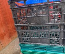Plastic crates
