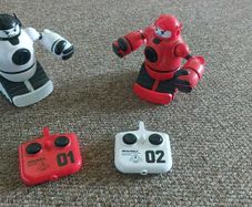 RC  Boxing robots
