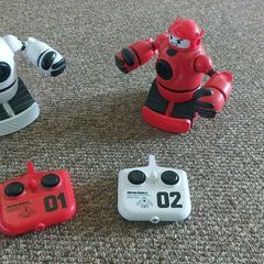 RC  Boxing robots
