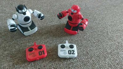 RC  Boxing robots