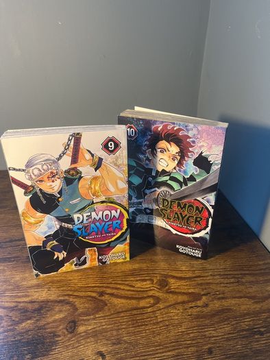 Demon Slayer Episode 9,10 Bundle