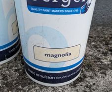 Magnolia interior Paint 25 liters