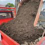manure mature Image 4