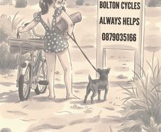 !!! Used Bikes !!!