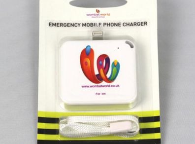 5000 Iphone And Samsung Power Banks - Festival Sellers!