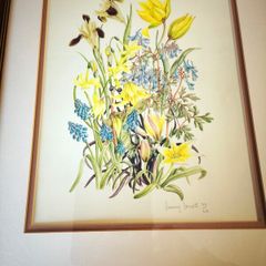 Limited edition botanical print by Jenny Jowett