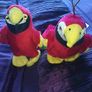 2 Parrots Image 3