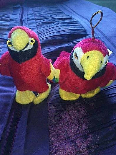 2 Parrots