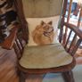 Oak Rocking Chair Image 2