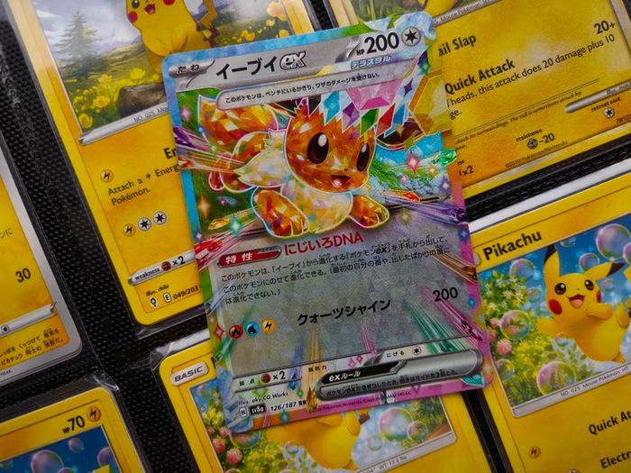 Eevee EX ! Double Rare ! from Terastal Festival EX Set ! 2024 ! Japanese Pokemon Card !