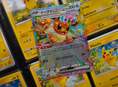 Eevee EX ! Double Rare ! from Terastal Festival EX Set ! 2024 ! Japanese Pokemon Card !