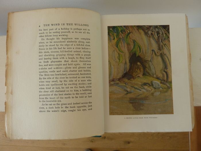 The Wind in the willows (book)
